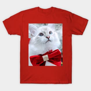 Saoirse ragdoll Santa baby T-Shirt